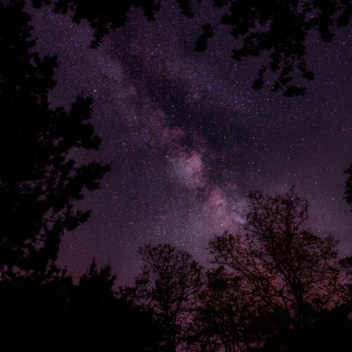 nathan anderson 291067