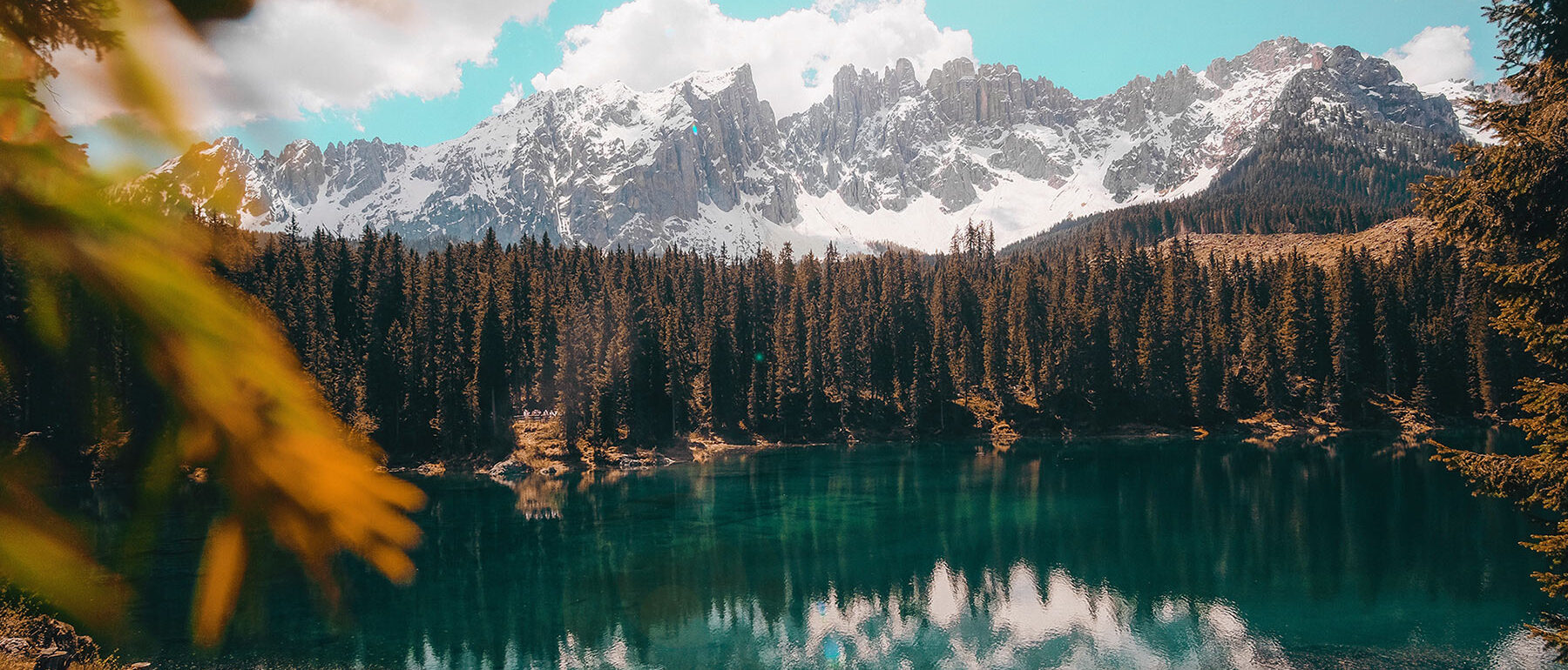 Cristina Gottardi GJ8ZQV7eGmU Unsplash 1800x770