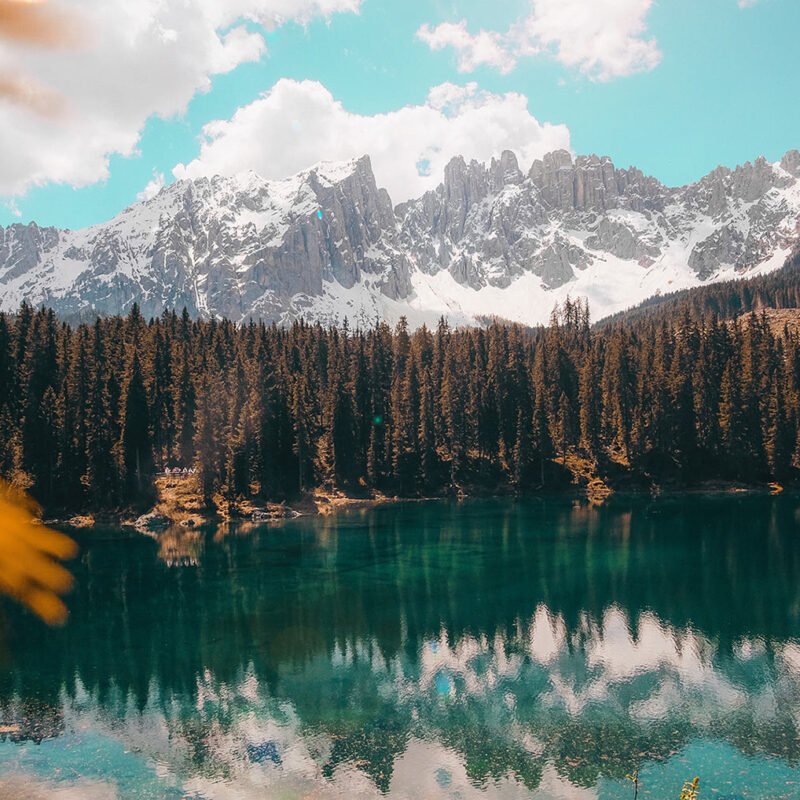 Cristina Gottardi GJ8ZQV7eGmU Unsplash 800x800